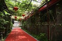 Hotel Lotus